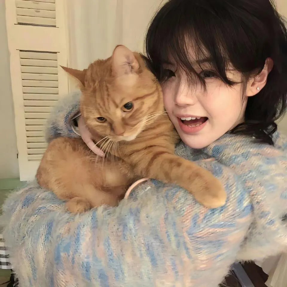 巅峰奶爸的寻妻路